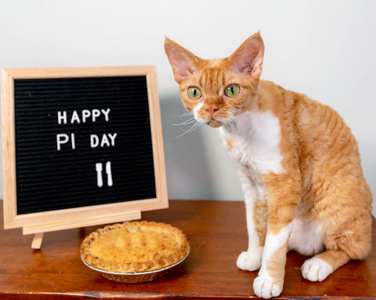 Happy Pi Day!