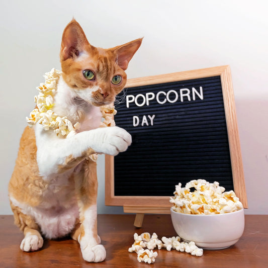 Popcorn Day