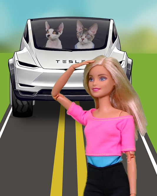 Self-Driving Car Hits Barbie