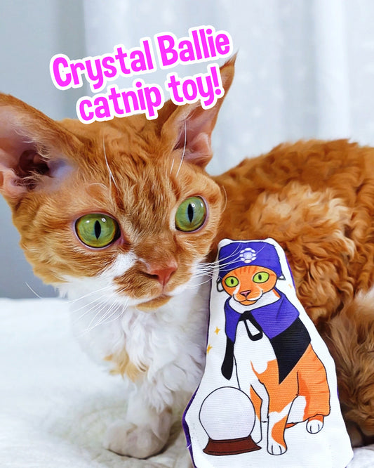 Fortune Teller Catnip Cat Toy