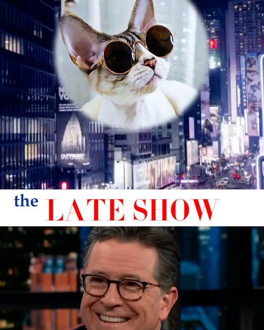 The Late Show with Gibson