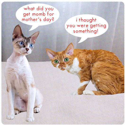 Sunday Funnies: Mother's Day