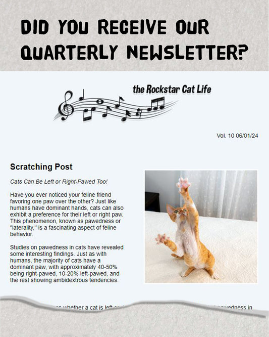 Newsletter: Summer 2024