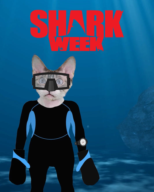 Shark Week 2024