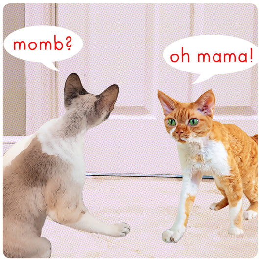 Sunday Funnies: MOMB!